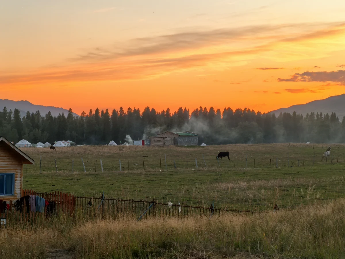 炊烟里的草原黄昏