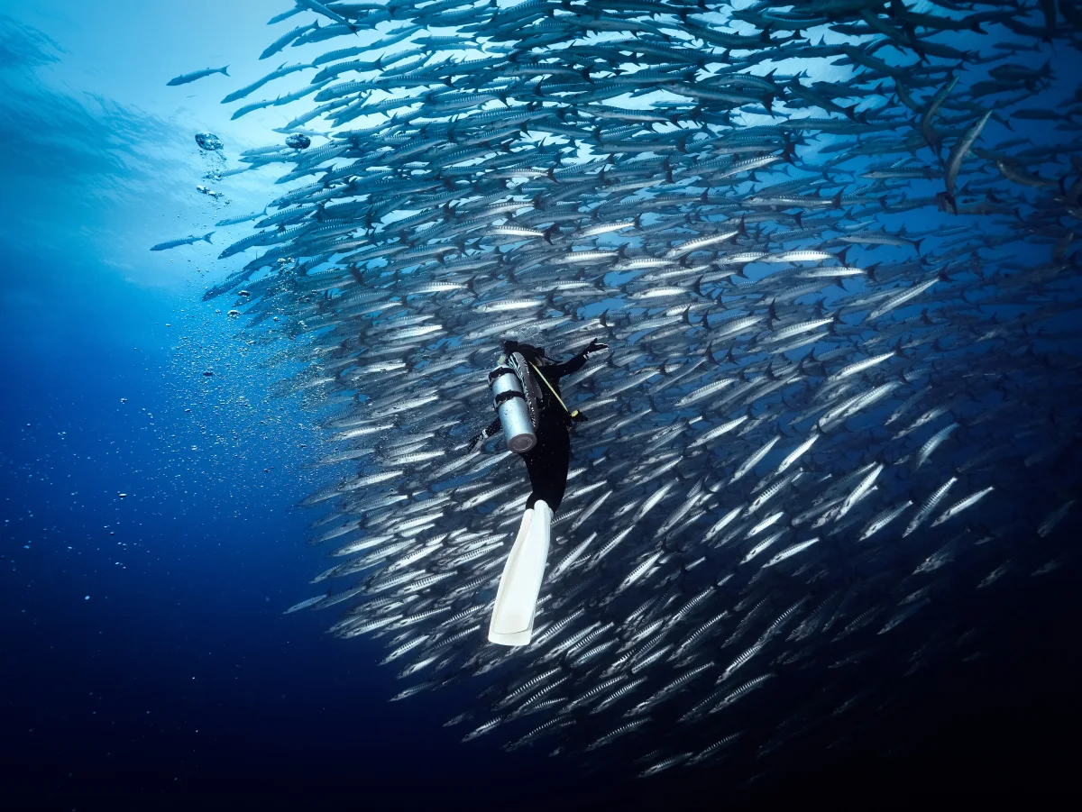 《流动的海墙》