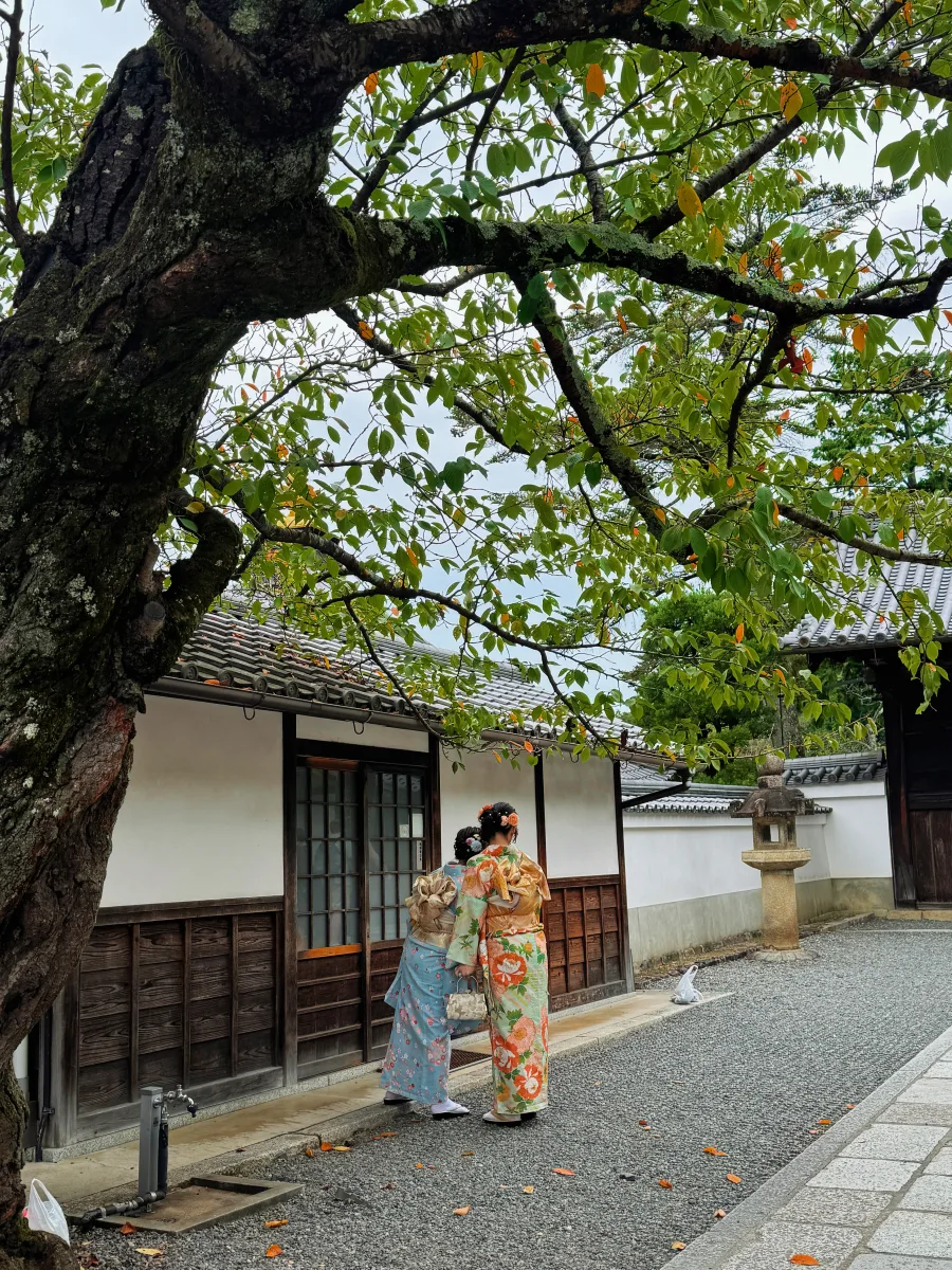 春衫叩古寺